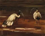 Ibises 1965 by Albert Tucker, 1965, oil on composition board, sold Dec 2010