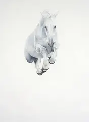 Springfall White 2006 by Michael Zavros, 2006, oil on canvas, sold Sep 2010