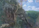 William Robinson, Sunlight and Shadow, Goomoolahra 2001