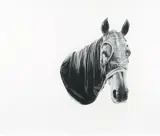 Michael Zavros, Big Hood, charcoal on paper