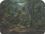 Eugene von Guerard, Ferntree Gully in the Dandenong Ranges 1857
