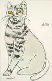 Andy Warhol, Sam