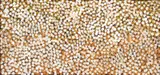Marsupial Mouse Dreaming 1998 by Mick Namarari Tjapaltjarri, 1998, Marsupial Mouse Dreaming, sold Mar 2010
