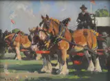Harold Septimus Power, Clydesdales