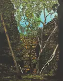 Lin Onus, Alligator Gorge, South Australia 1974