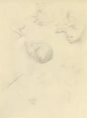 Dog Study I c1940 by William Dobell, c1940, pencil on paper, sold Dec 2009