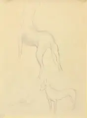 Dog Study II c1940 by William Dobell, c1940, pencil on paper, sold Dec 2009