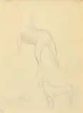 William Dobell, Dog Study II c1940