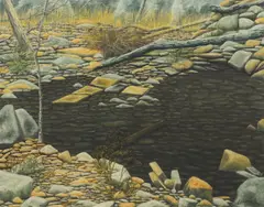Reflective Pool by Lin Onus, oil on canvas on board, offered Dec 2009