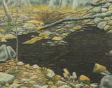 Lin Onus, Reflective Pool