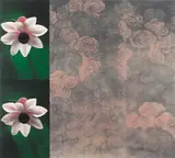 John Young, Cloud and Generic Flower Study #1 1998