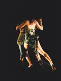 Monika Tichacek, The Shadowers 15 2004, 2004, light jet print