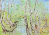 Clifton Pugh, Mangrove Creek 1985