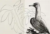 Brett Whiteley, Untitled (Dove)