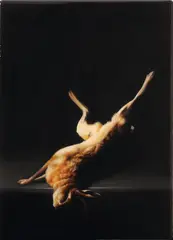 Hare 2007 by Sam Leach, 2007, oil and resin on metal sheet, sold Sep 2009