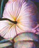 Untitled 20070901 2007 by Tim Maguire, 2007, oil on canvas, sold Sep 2009
