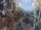 William Robinson, Bright Day, Tallanbanna 2000, 2000, pastel on paper