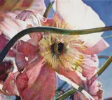 Tim Maguire, Untitled 20080303 2008, 2008, oil on canvas