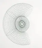 Neil Taylor, Green's promise 2004, 2004, coated galvanised metal fabric