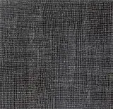 Dorothy Napangardi, Salt in Mina Mina