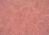 Florrie Watson Napangardi, Mina Mina Story 2004, 2004, Mina Mina Story