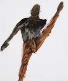 Sidney Nolan, Untitled (Figure)