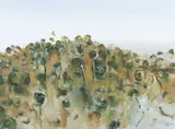Fred Williams, Upwey Landscape 1965, 1965, gouache on paper