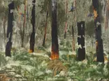 Albert Tucker, Gully 1962