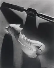 Two Forms 1939 by Max Dupain, 1939, silver gelatin photograph, sold Mar 2009
