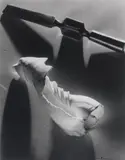 Two Forms 1939 by Max Dupain, 1939, silver gelatin photograph, sold Mar 2009
