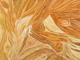 Makinti Napanangka, Untitled 2005