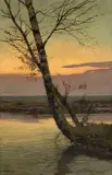 Józef Rapacki, Mokradła o zachodzie, 1920, olej, deska