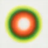 B 101 by Wojciech Fangor, 1966, olej, płotno, sold Oct 2024