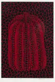 Yayoi Kusama, Dynia
