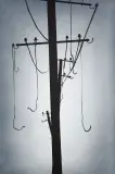 Elektryfikacja XIV by Krzysztof Turlewicz, 2011, akryl, płótno, sold Feb 2014