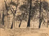 GRUPA DRZEW W GOŚCIERADZU by Leon Wyczółkowski, kredka, papier, tektura, sold Dec 2015