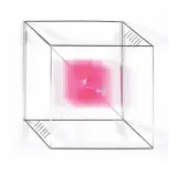 Piotr Kowalski, FORMA, 1967, konstrukcja inox, różowa pleksi