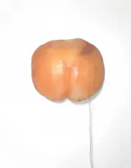 Alina Szapocznikow, Lampe-fesses, 1970, barwiona żywica poliestrowa, żarówka, okablowanie, metal
