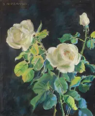 Stanisław Ejsmond, Białe róże, pastel, akwarela, papier