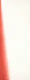 Wojciech Fangor, Red I