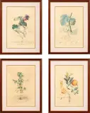 Zestaw czterech prac z cyklu FlorDali by Salvador Dalí, 1969, litografie barwne z wykorzystaniem wcześniejszych plansz litograficznych, sold Oct 2020