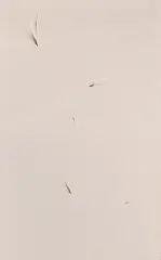 Kajetan Sosnowski, Z cyklu Interwencje, 1981, technika szyta, płótno