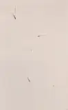 Kajetan Sosnowski, Z cyklu Interwencje