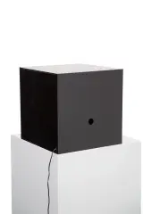 Andrzej Paruzel, Pyski lwów, 2019, technika własna, pleksi, zabawka plastikowa, lampka ledowa