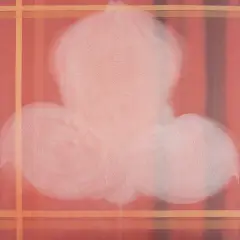 Dominik Lejman, Orchidea, 1999, akryl, płótno, projekcja wideo