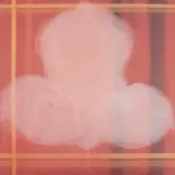 Dominik Lejman, Orchidea, 1999, akryl, płótno, projekcja wideo