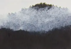 Tomasz Tatarczyk, Wzgórze, 2005, olej, tusz, papier