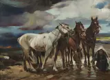 Zygmunt Menkes, Pojenie koni