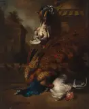 Autor Nieokreślony, Martwa natura z ptactwem, XVII w., olej, płótno dublowane