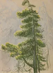 Leon Wyczółkowski, Limba na tle Mnicha, 1915, pastel, kredka litograficzna, węgiel, papier